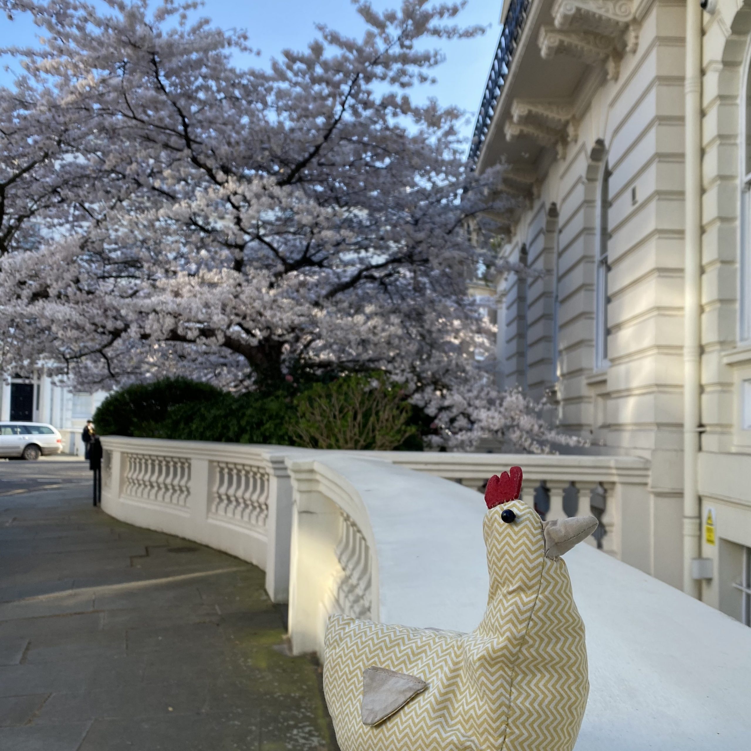 Lady Pollo chicken in London Notting Hill