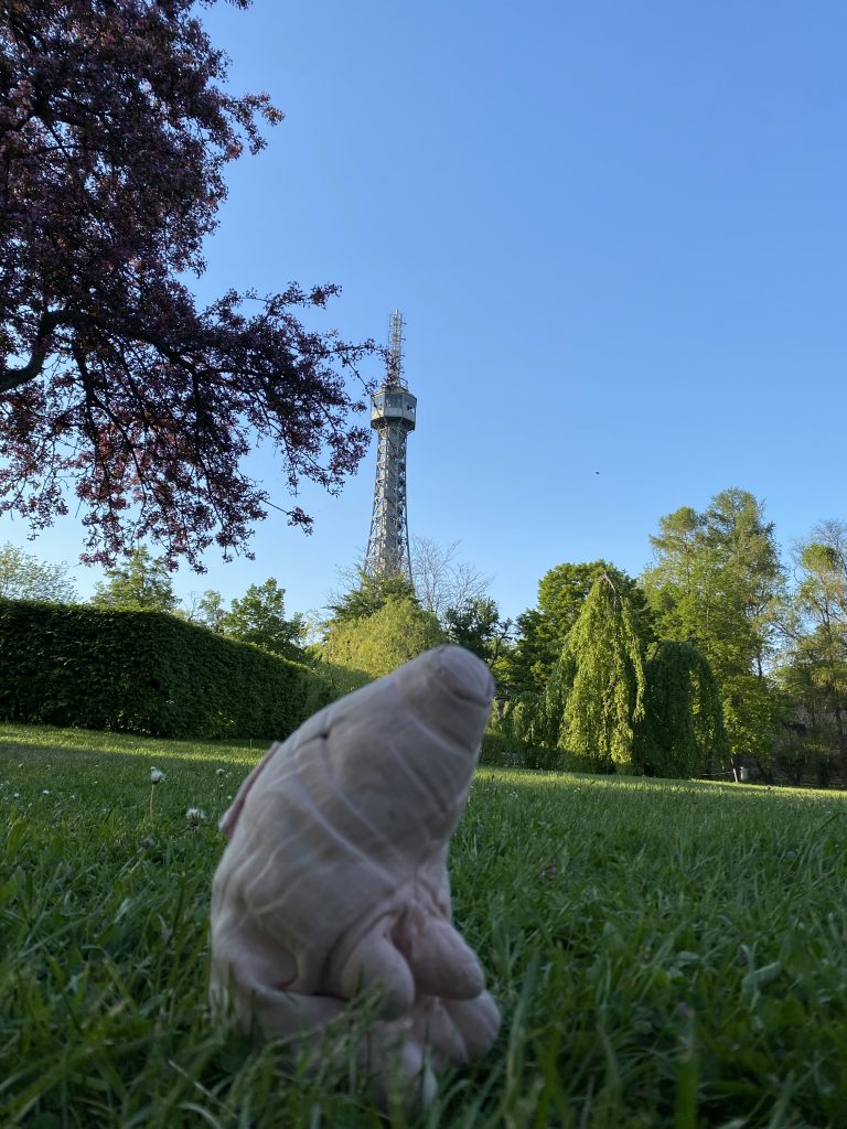 Cerdo the mental support pig in front of Petřín Tower