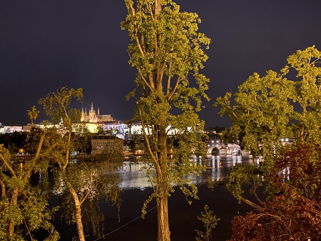 View on Prague Castle (Pražský Hrad) and Trees by Night