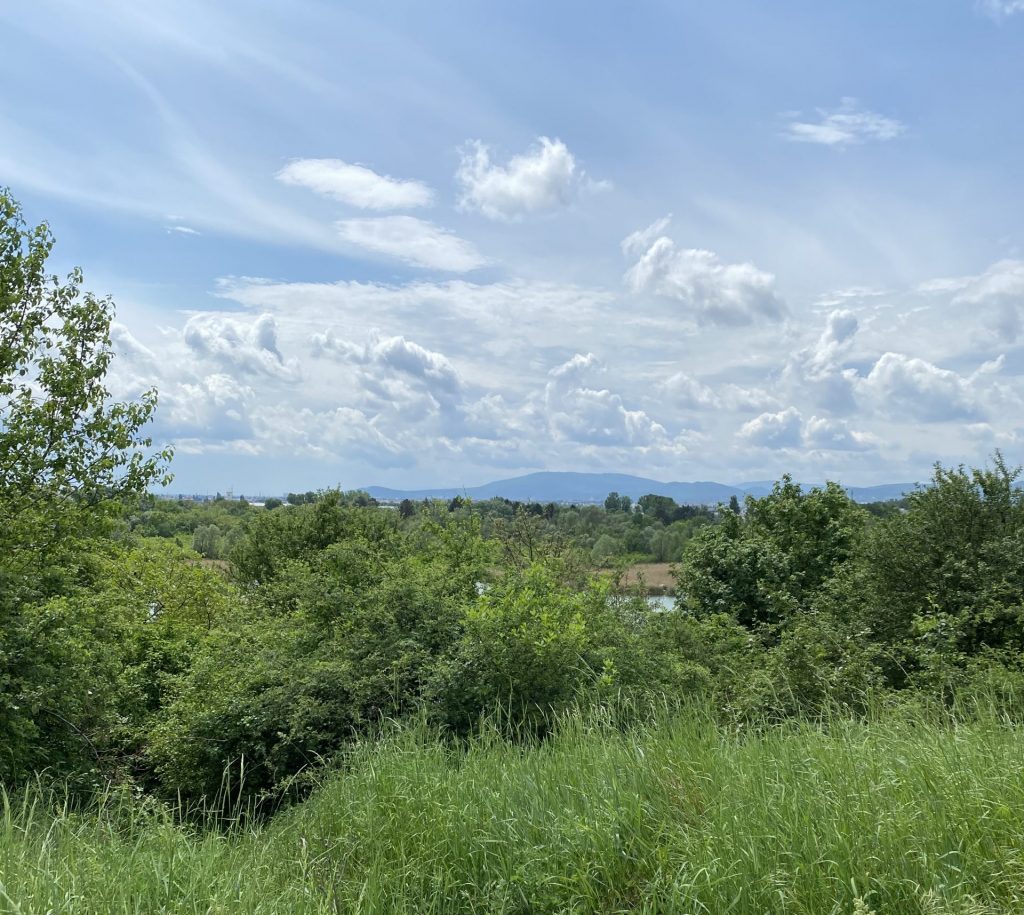 View on the Mountains from Wienerberg
