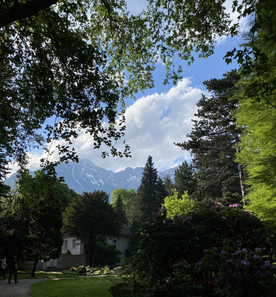 Mountain View in Hofgarten Innsbruck