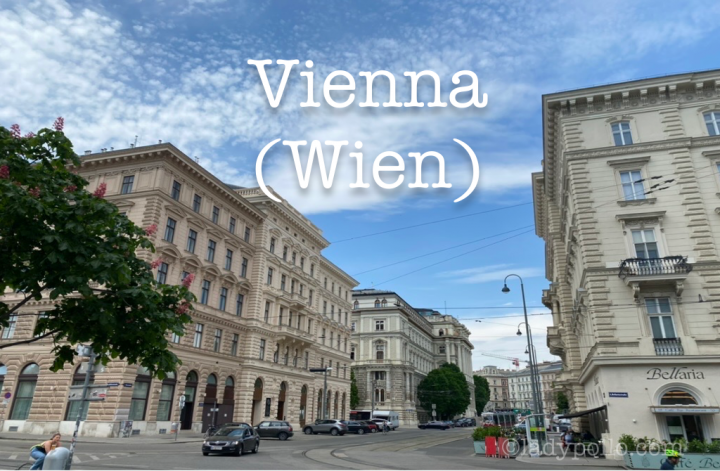 Vienna Cover